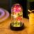 Rose Red Forever Galaxy Rose for Women/Wife/Grandma/Girlfriend for Her Rose Flower Artificial Roses,Beauty Beast Rose Light Up Rose Rainbow Galaxy Flower Gifts For Her